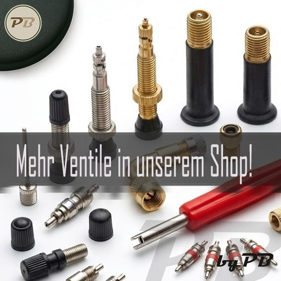 Ventileinsatz Ventildreher Ventilkappe Ventilschlüssel Autoventil+Fahrradventil